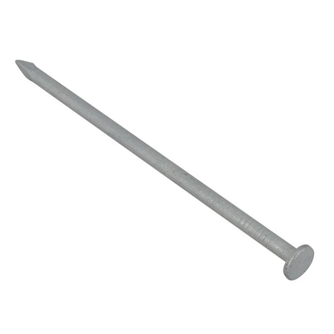 Batten Nail Galv 2.65x65mm 2.5KG BAG - (212NLB65GB)