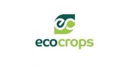 Eco Crops Eco Crops Premium Willow Decorative Play Bark 600L Dumpy Bag