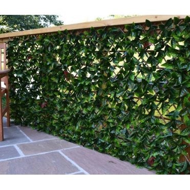 LAUREL EXTENDABLE HEDGING