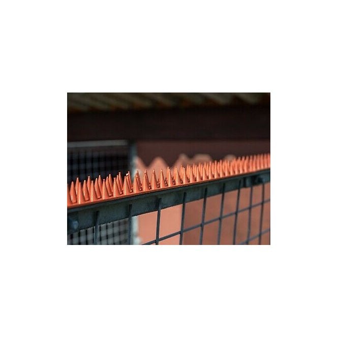 Pest-Stop (Pelsis Group) Prikka Strip (Pack 8)