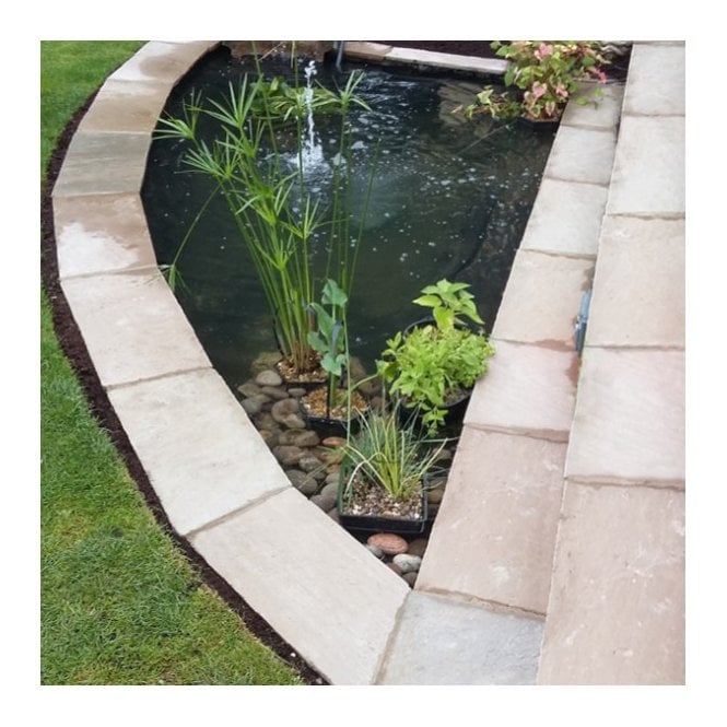 Sandstone Coping Raj/Lakeland 600x290mm          *PER PIECE*